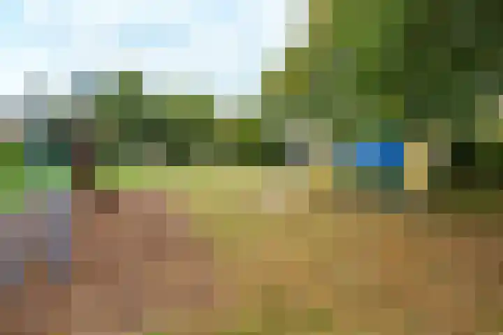 Meyenhagen 35 Bilthoven thumbnail 21