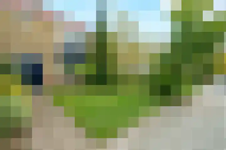 Meyenhagen 35 Bilthoven thumbnail 23