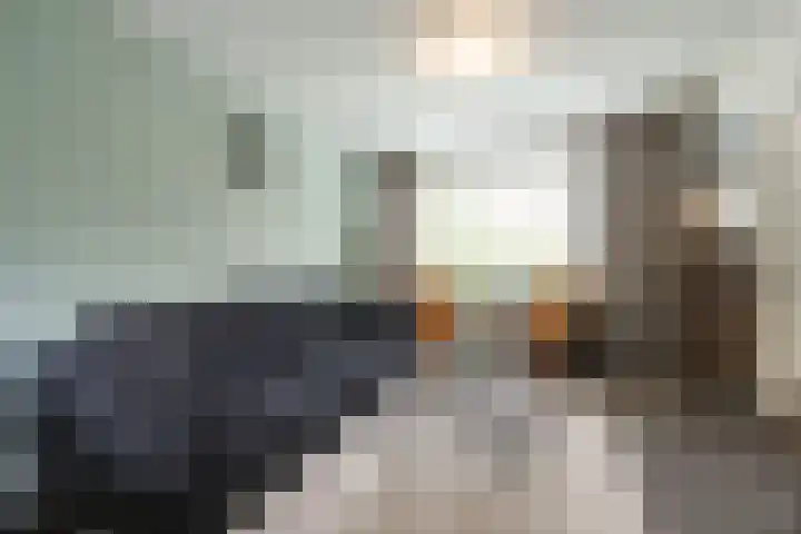 Meyenhagen 35 Bilthoven thumbnail 5