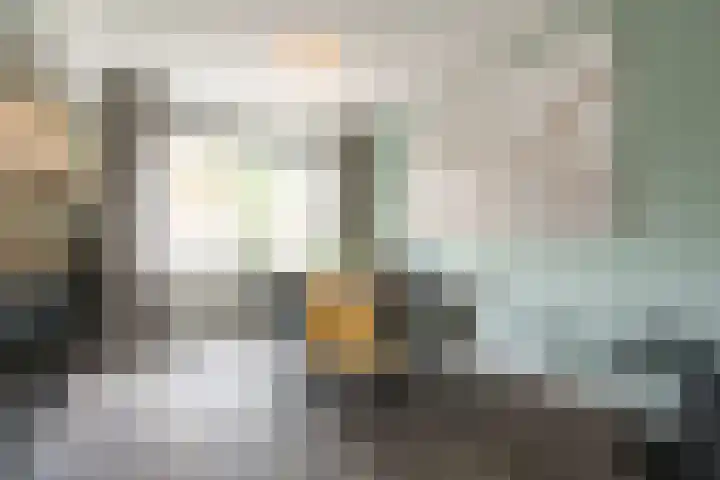 Meyenhagen 35 Bilthoven thumbnail 6