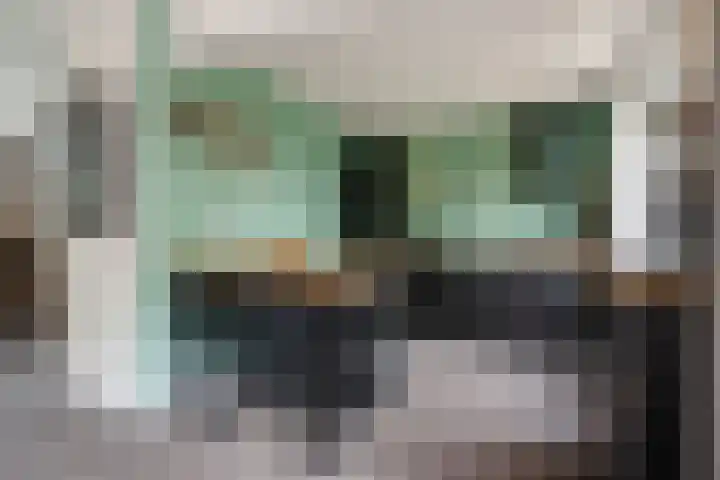 Meyenhagen 35 Bilthoven thumbnail 8