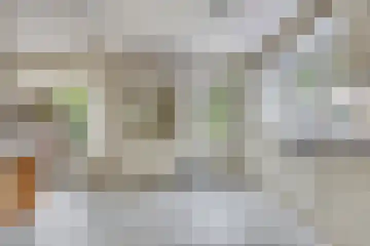 Meyerijplein 1 Waalwijk thumbnail 10