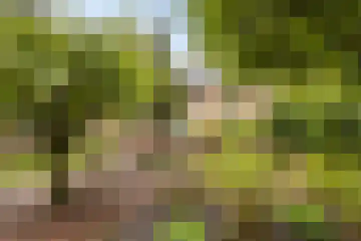 Meyerijplein 1 Waalwijk thumbnail 25