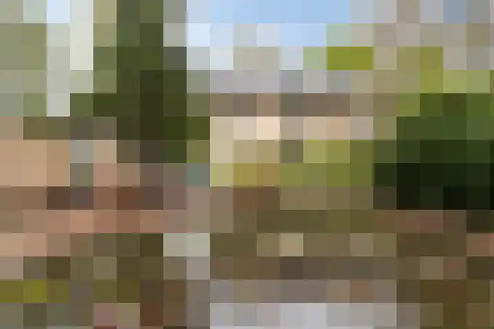 Meyerijplein 1 Waalwijk thumbnail 26
