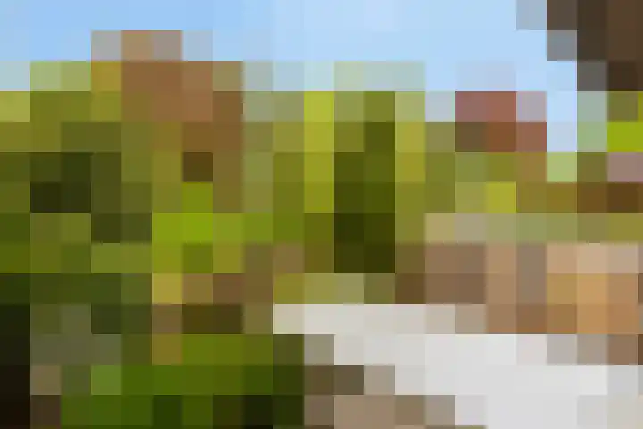 Meyerijplein 1 Waalwijk thumbnail 27