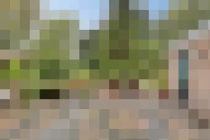 Meyerijplein 1 Waalwijk thumbnail 28