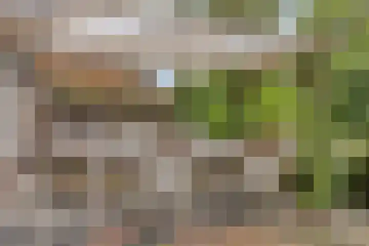 Meyerijplein 1 Waalwijk thumbnail 31