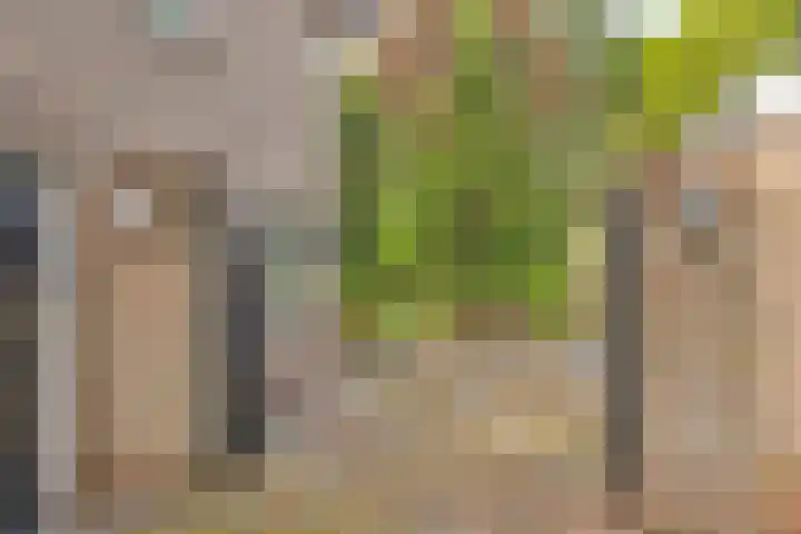 Meyerijplein 1 Waalwijk thumbnail 32
