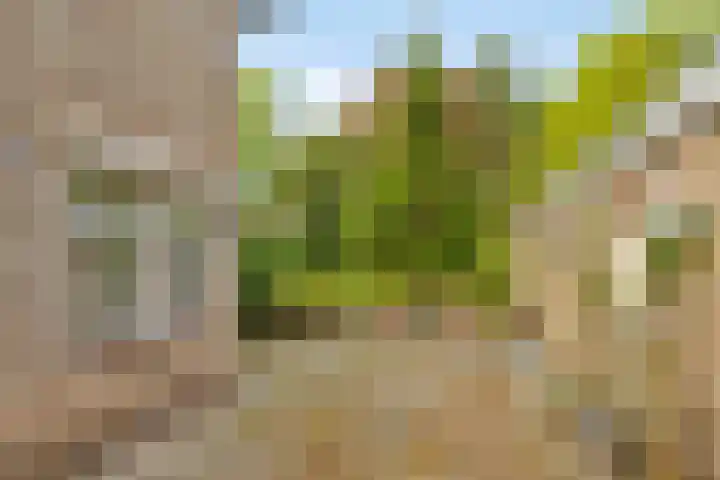 Meyerijplein 1 Waalwijk thumbnail 33