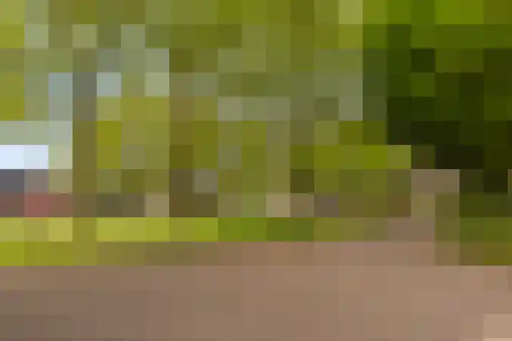 Meyerijplein 1 Waalwijk thumbnail 35