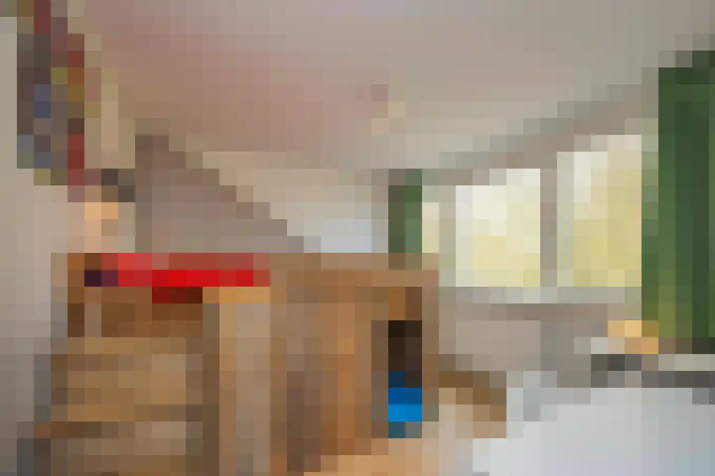 Meyerijplein 7 Waalwijk thumbnail 30