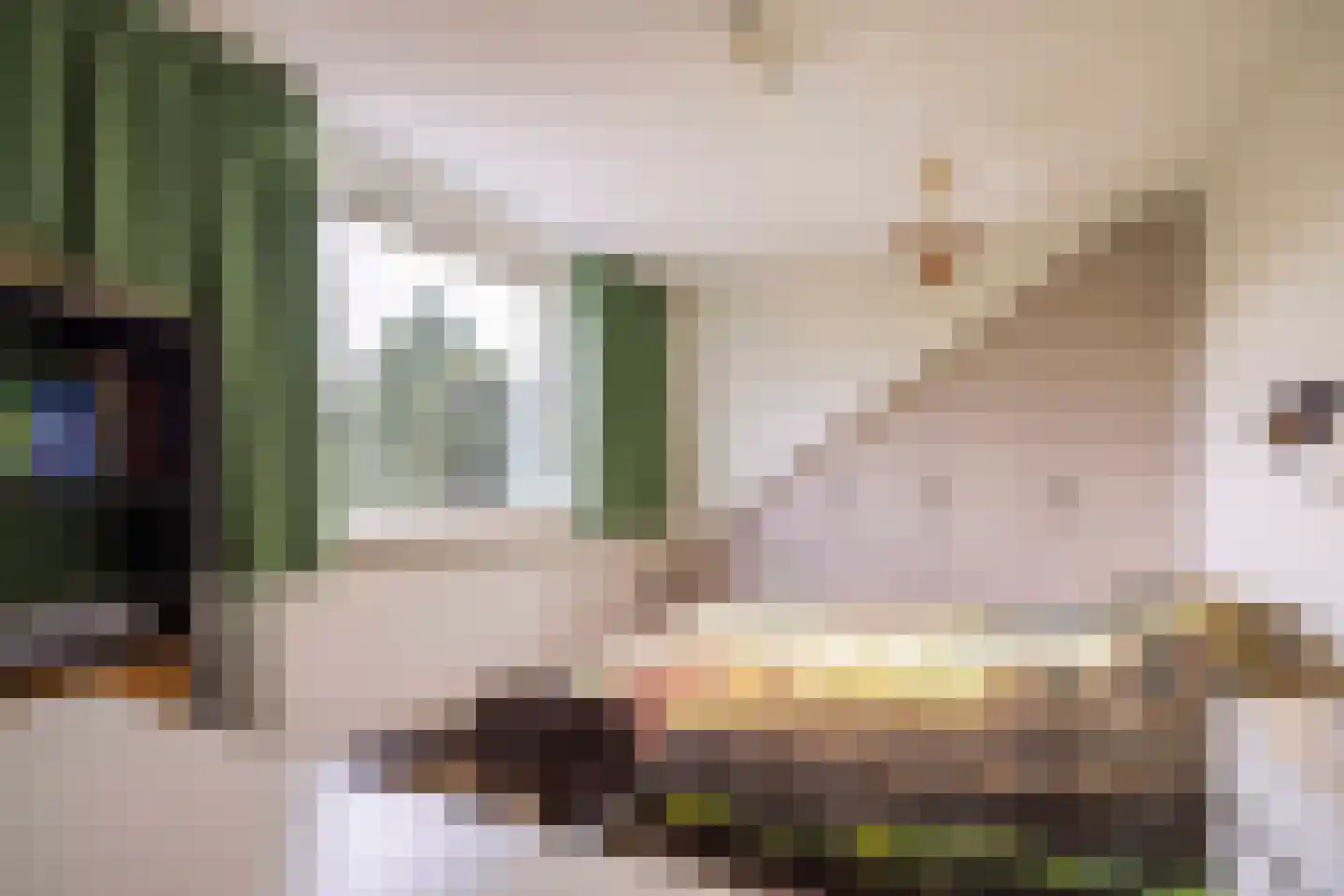 Meyerijplein 7 Waalwijk thumbnail 31