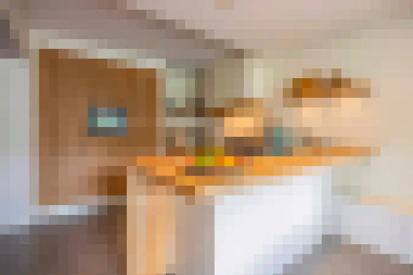Meyerijplein 7 Waalwijk thumbnail 4