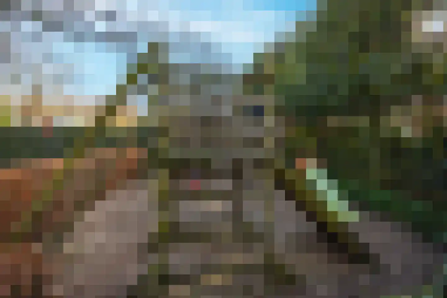 Meyerijplein 7 Waalwijk thumbnail 45