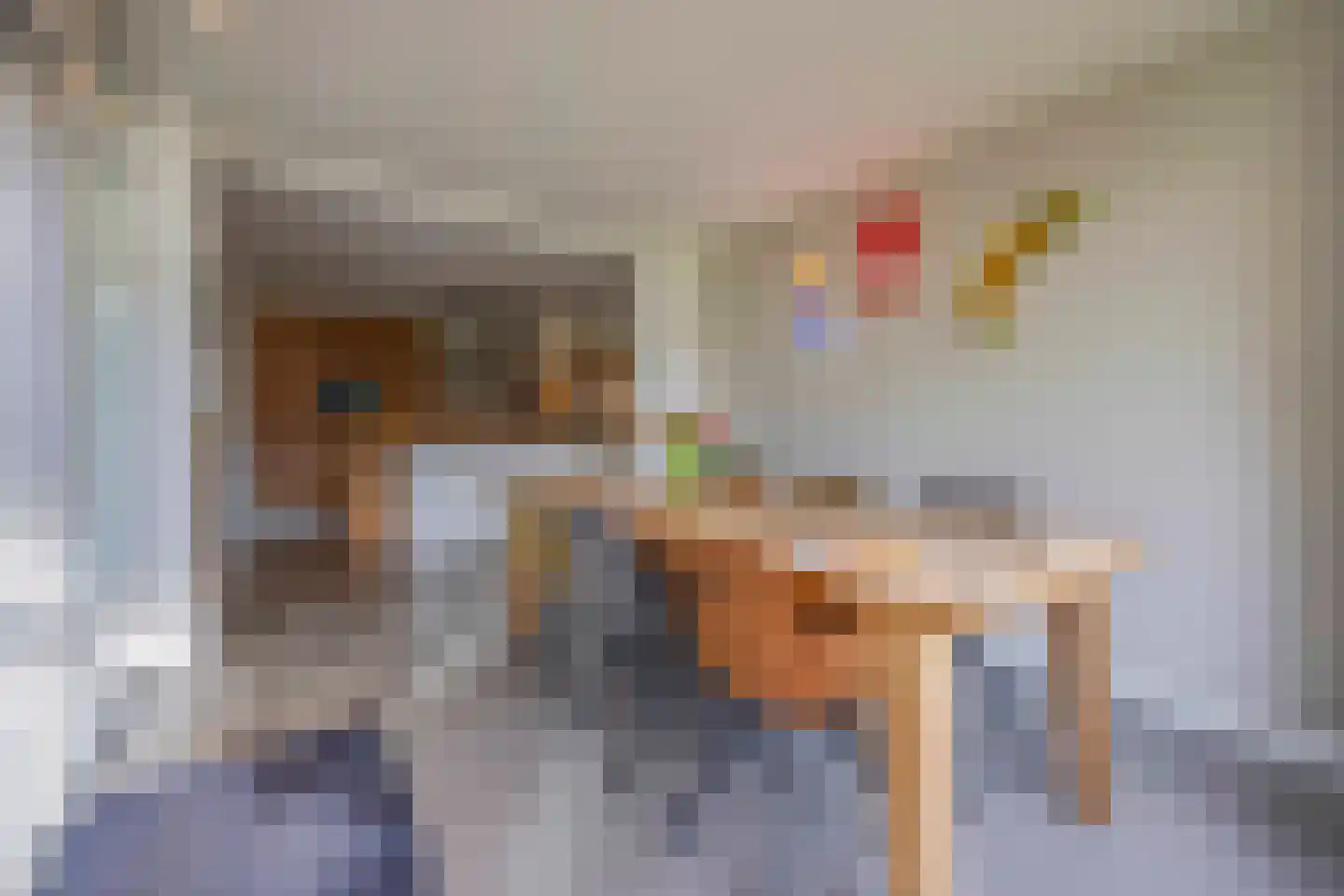 Meyerijplein 7 Waalwijk thumbnail 7