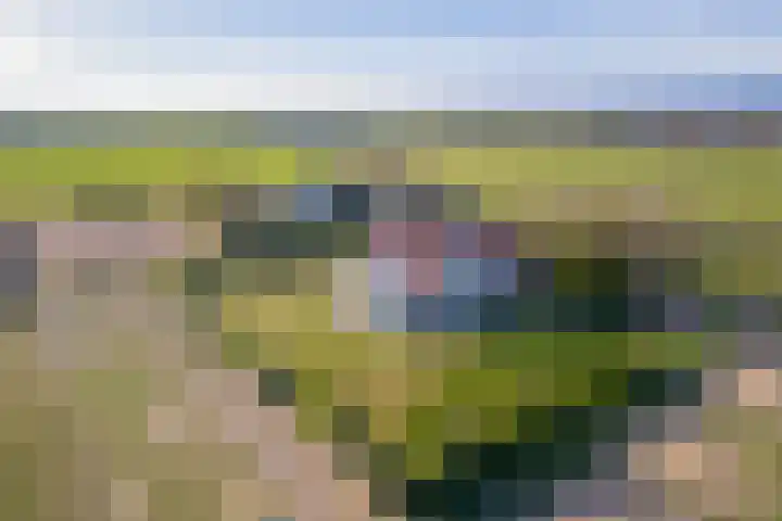 Meyertebos 15 Den Burg