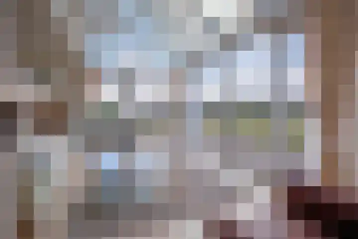 Meyertebos 15 Den Burg thumbnail 12