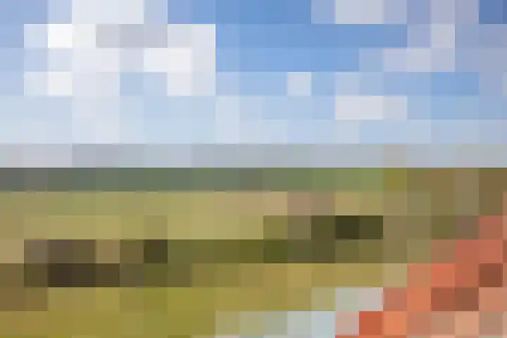 Meyertebos 15 Den Burg thumbnail 35