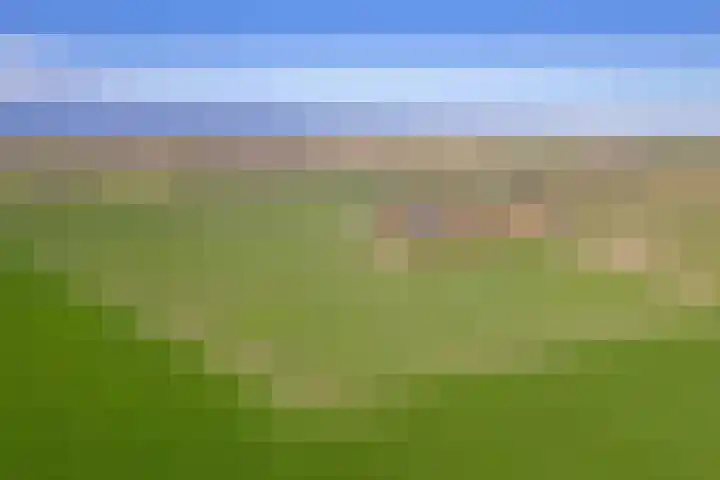 Meyertebos 15 Den Burg thumbnail 4