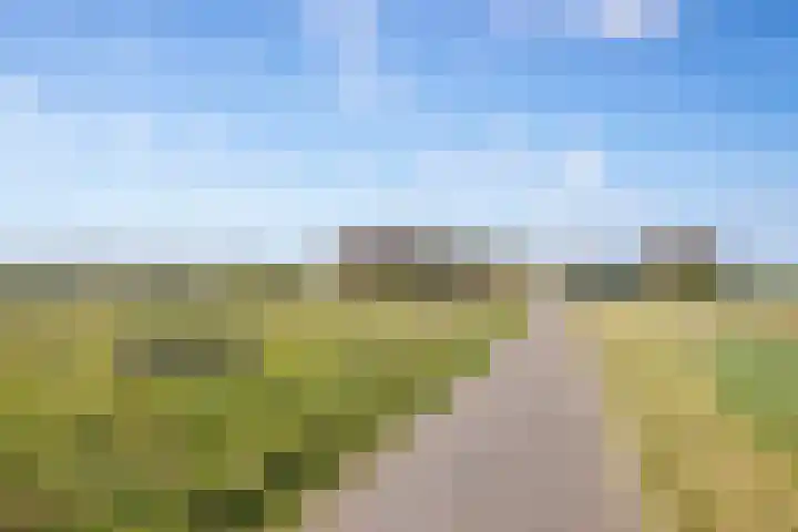 Meyertebos 15 Den Burg thumbnail 44