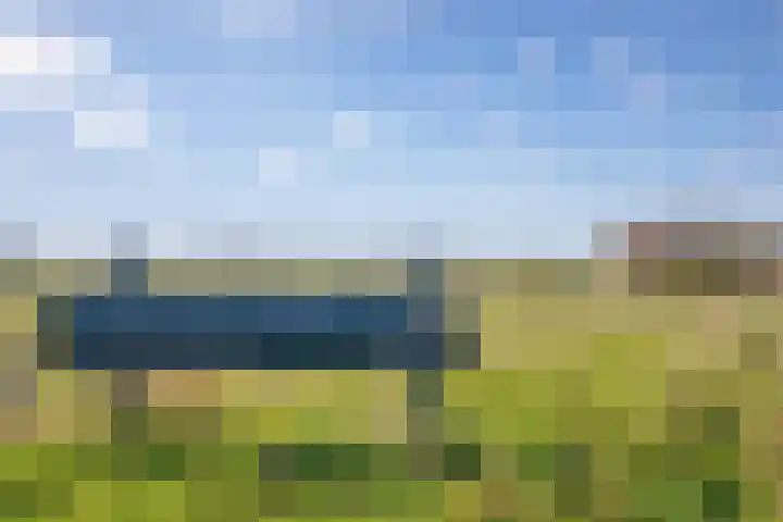 Meyertebos 15 Den Burg thumbnail 45