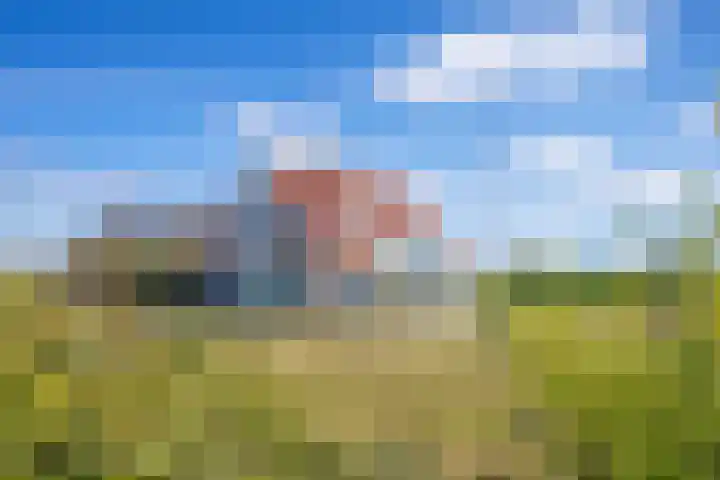 Meyertebos 15 Den Burg thumbnail 5