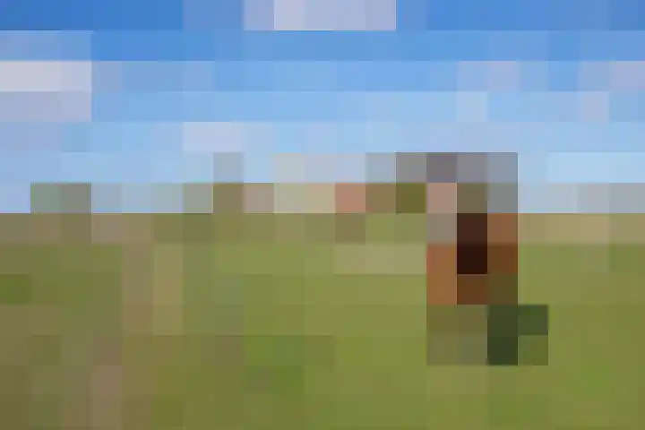 Meyertebos 15 Den Burg thumbnail 55