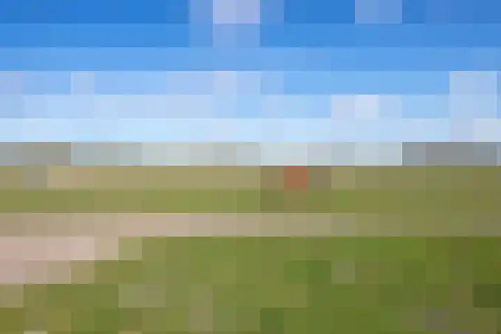 Meyertebos 15 Den Burg thumbnail 56