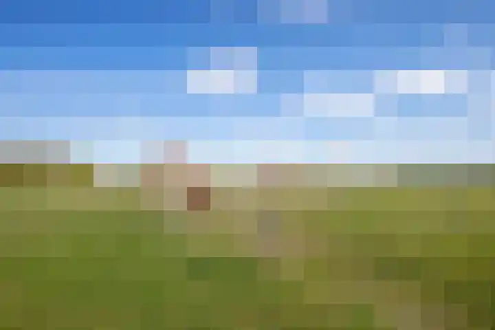 Meyertebos 15 Den Burg thumbnail 61