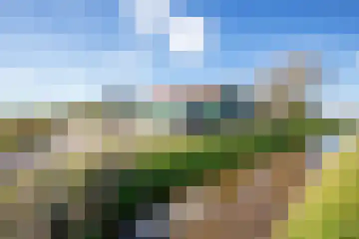 Meyertebos 15 Den Burg thumbnail 64