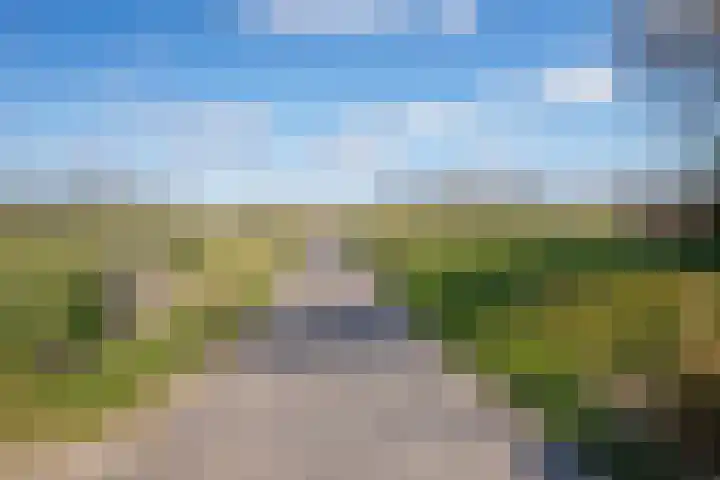 Meyertebos 15 Den Burg thumbnail 74