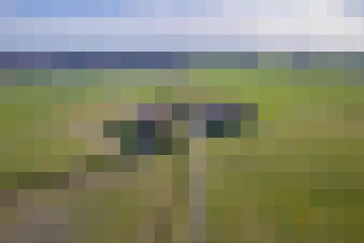 Meyertebos 15 Den Burg thumbnail 77