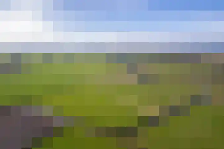 Meyertebos 15 Den Burg thumbnail 78