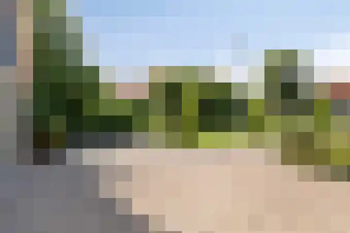 Meyerweg 10 De Knipe thumbnail 10