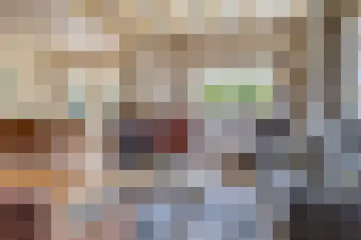 Meyerweg 10 De Knipe thumbnail 22