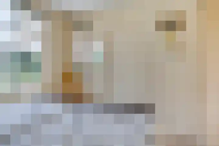 Meyerweg 10 De Knipe thumbnail 24