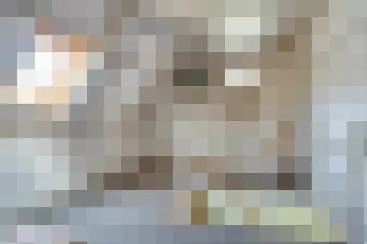 Meyerweg 10 De Knipe thumbnail 25