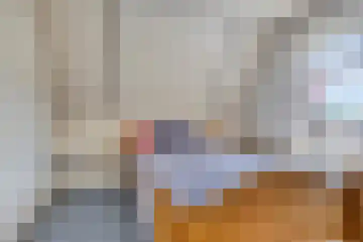 Meyerweg 10 De Knipe thumbnail 27