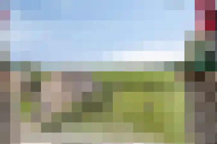 Meyerweg 10 De Knipe thumbnail 28