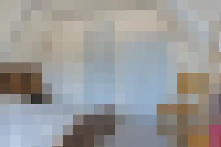 Meyerweg 10 De Knipe thumbnail 32