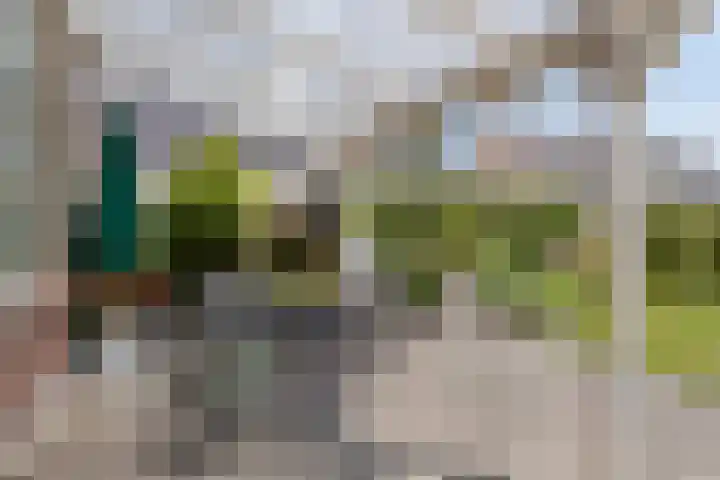Meyerweg 10 De Knipe thumbnail 33