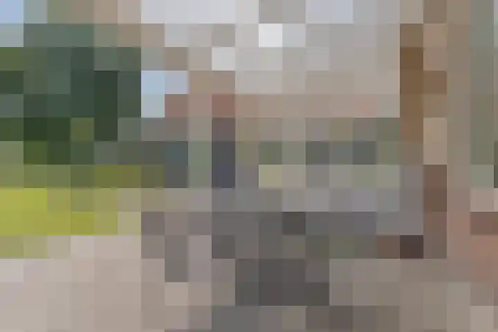Meyerweg 10 De Knipe thumbnail 34