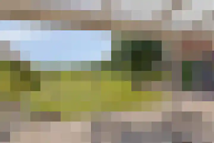 Meyerweg 10 De Knipe thumbnail 35