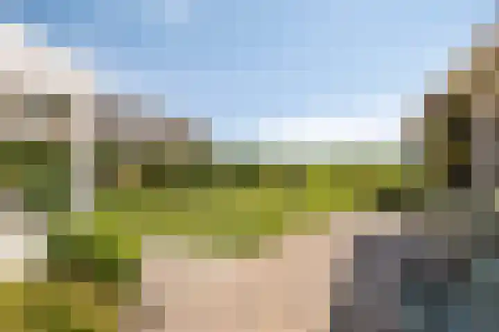 Meyerweg 10 De Knipe thumbnail 36