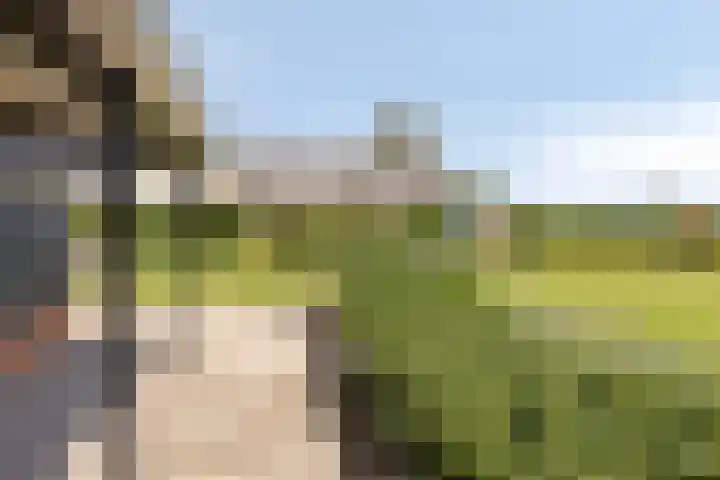 Meyerweg 10 De Knipe thumbnail 38