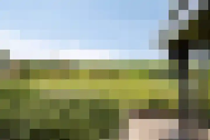 Meyerweg 10 De Knipe thumbnail 39