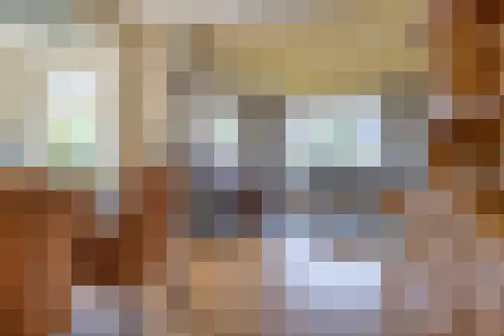 Meyerweg 10 De Knipe thumbnail 4