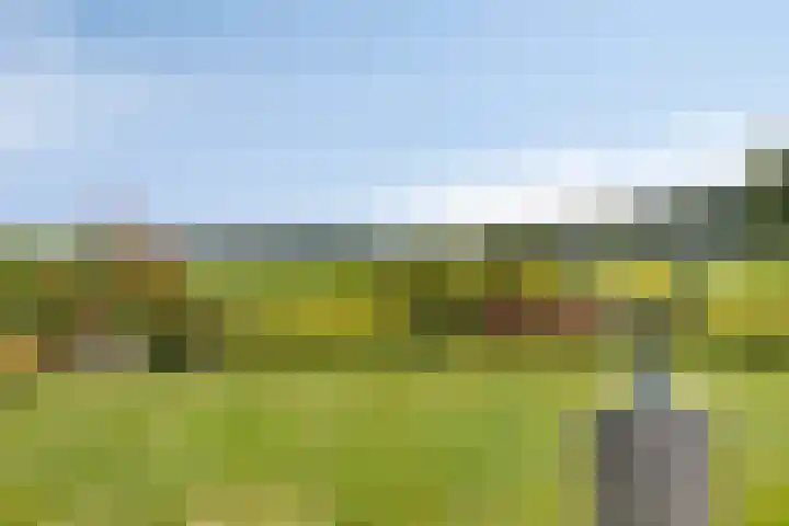 Meyerweg 10 De Knipe thumbnail 40