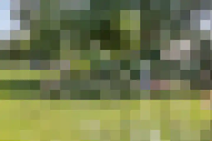 Meyerweg 10 De Knipe thumbnail 41