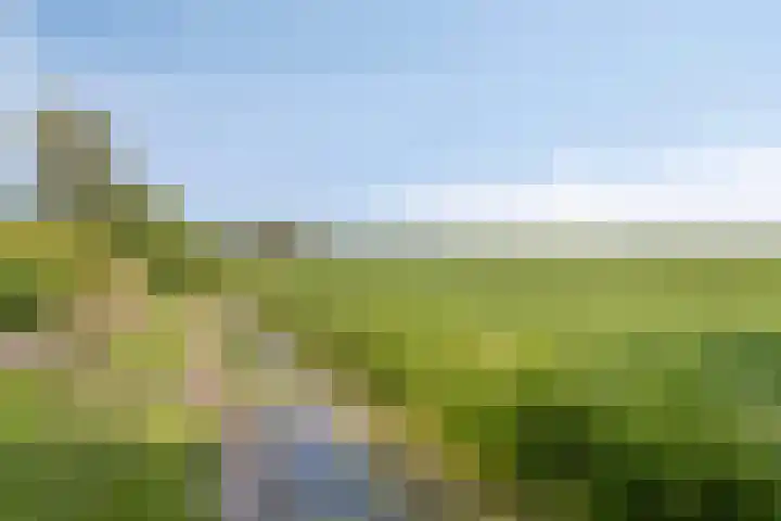 Meyerweg 10 De Knipe thumbnail 42